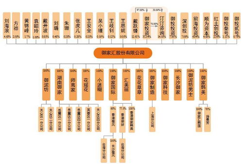 御家匯IPO周三上會 年入11億背后，面膜業務與軟件及輔助設備批發的商業邏輯