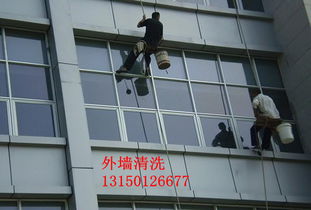 慶陽(yáng)雅潔居家政保潔——專業(yè)保潔，品質(zhì)之選